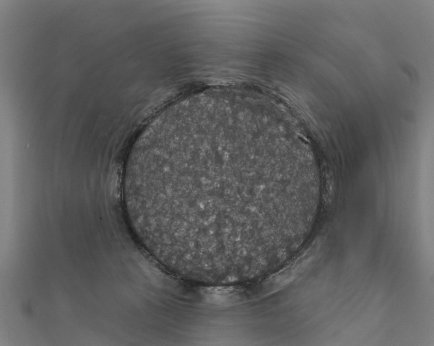 X0000111590273200908131347