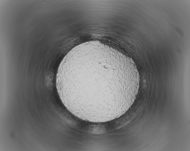 X0000111590275200908131347