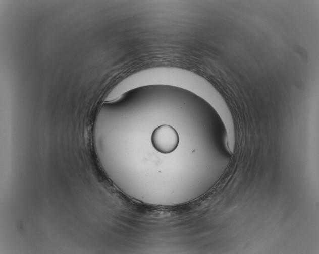 X0000111590276200908131347
