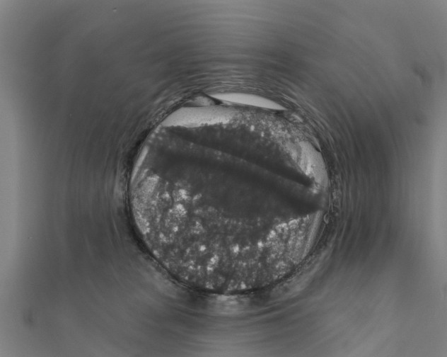 X0000111590277200908131347