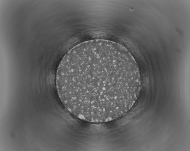 X0000111590281200908131347