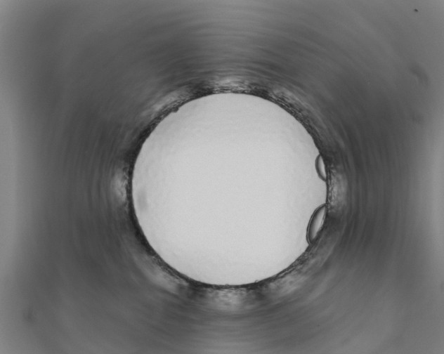 X0000111590282200908131347