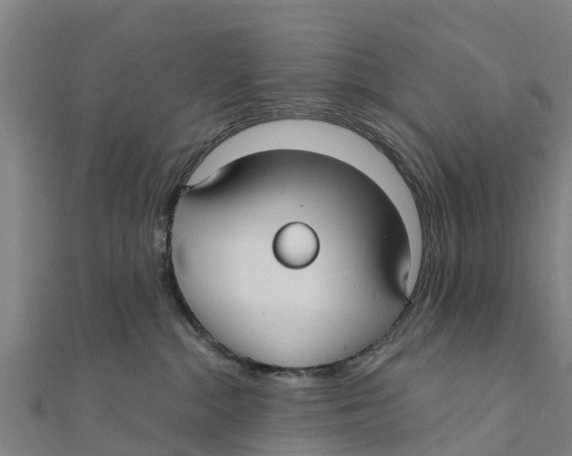 X0000111590284200908131347