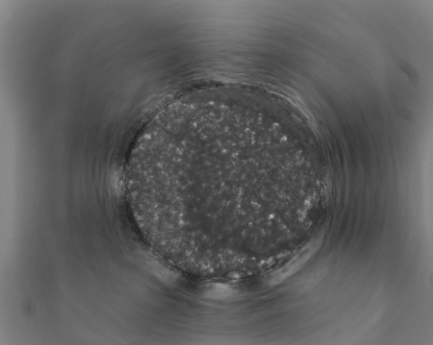 X0000111590285200908131347