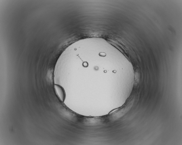 X0000111590286200908131347