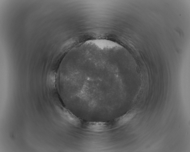 X0000111590288200908131347