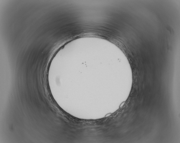 X0000111590289200908131347