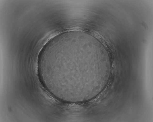 X0000111590290200908131347