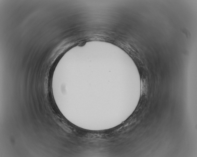 X0000111590291200908131347