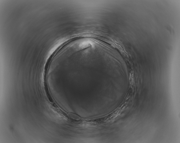 X0000111590292200908131347