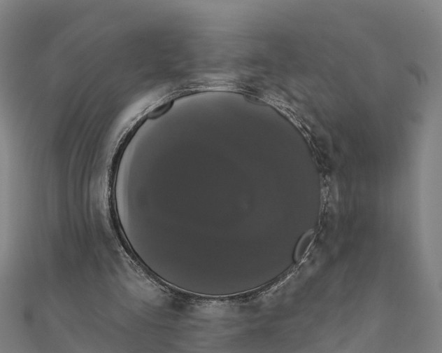 X0000111590293200908131347