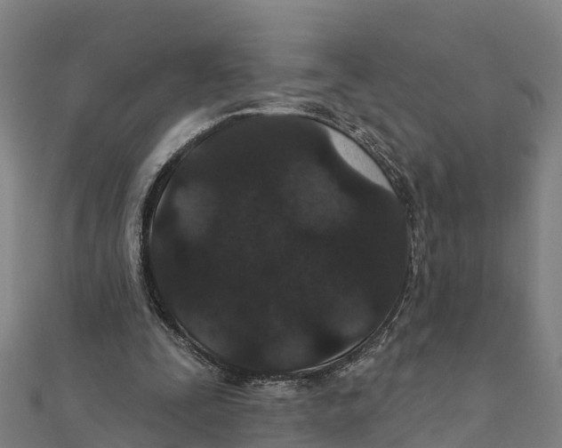 X0000111590295200908131347