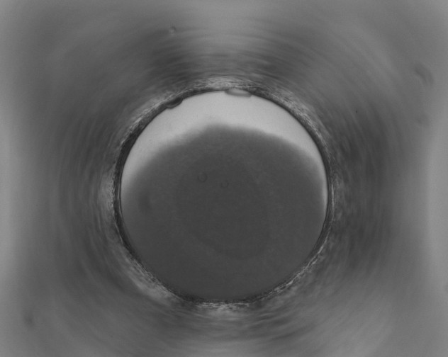 X0000111590297200908131347