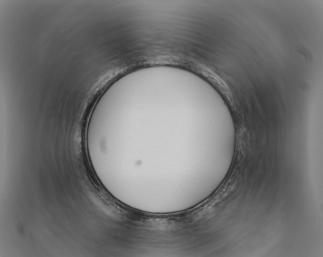 X0000111590298200908131347