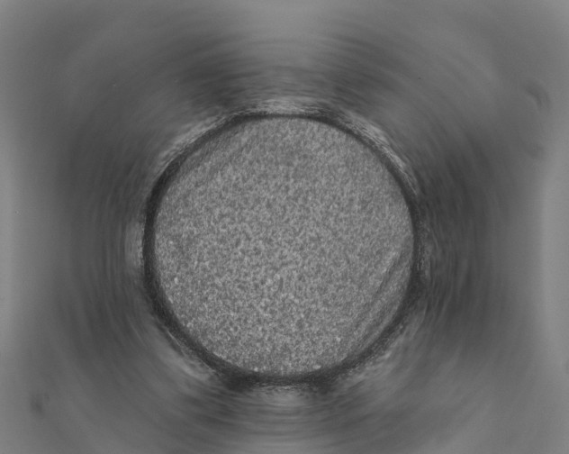 X0000111590299200908131347