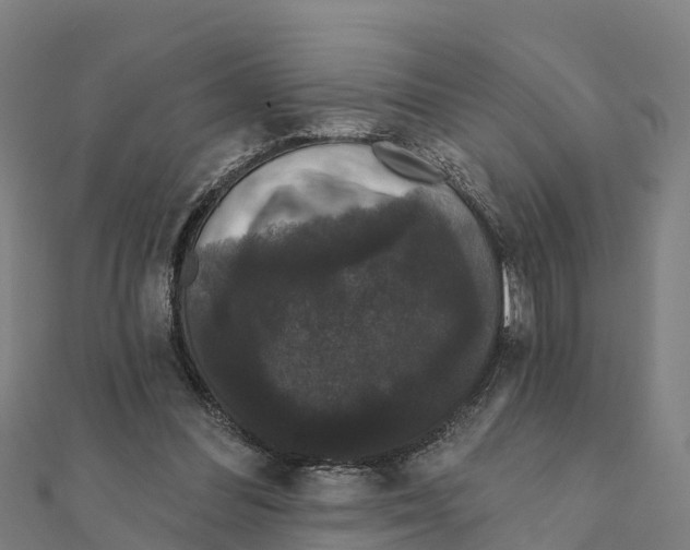 X0000111590300200908131347