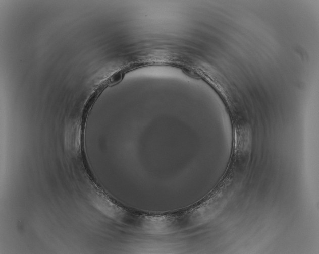 X0000111590301200908131346