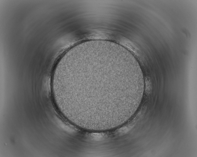 X0000111590302200908131346