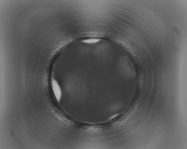 X0000111590303200908131346