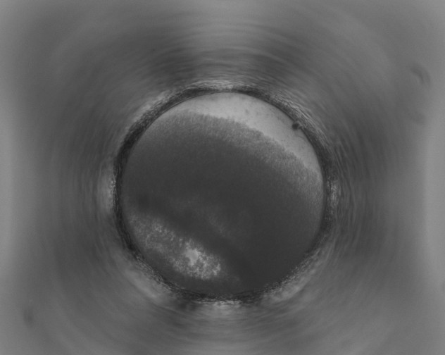 X0000111590304200908131346