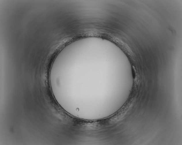 X0000111590306200908131346