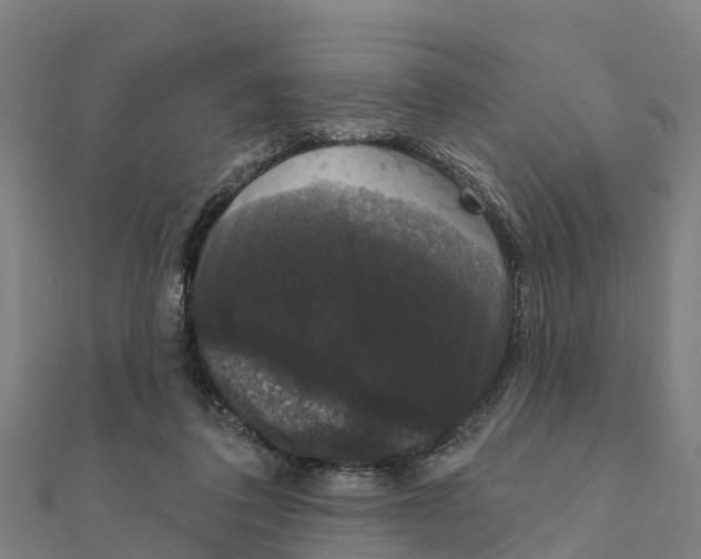 X0000111590308200908131346