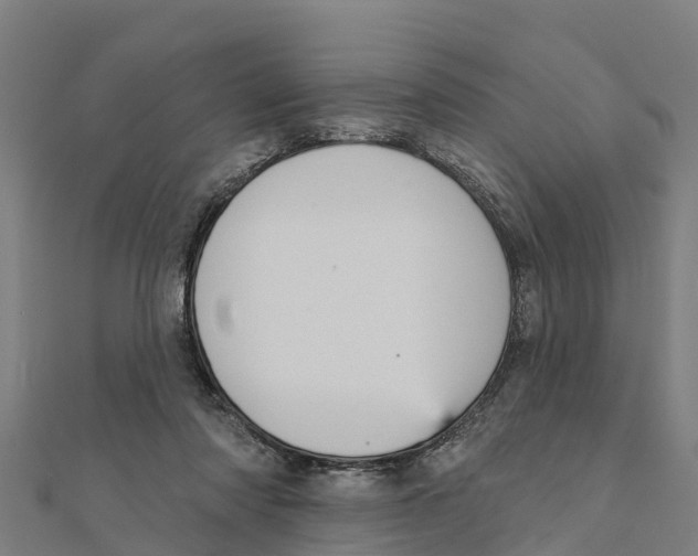 X0000111590310200908131346