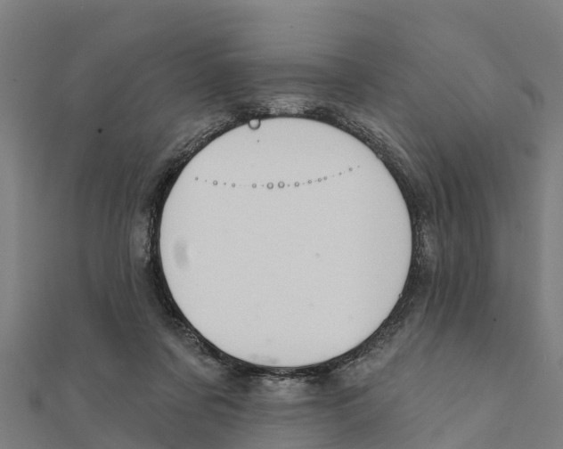 X0000111590311200908131346