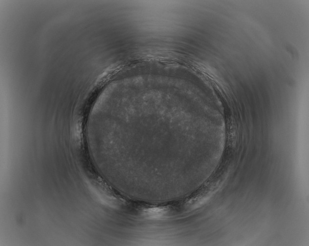 X0000111590312200908131346