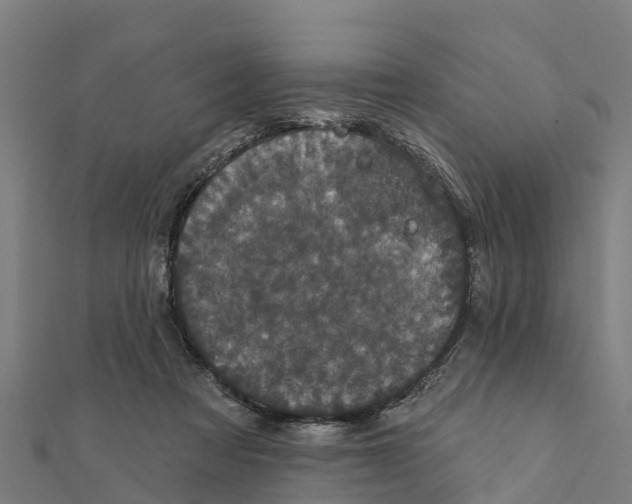 X0000111590313200908131346