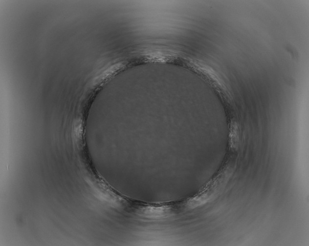 X0000111590314200908131346