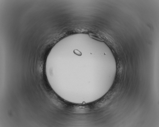 X0000111590315200908131346
