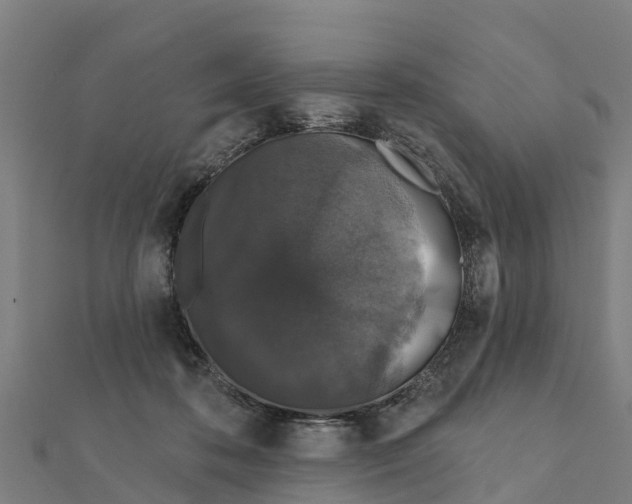 X0000111590316200908131346