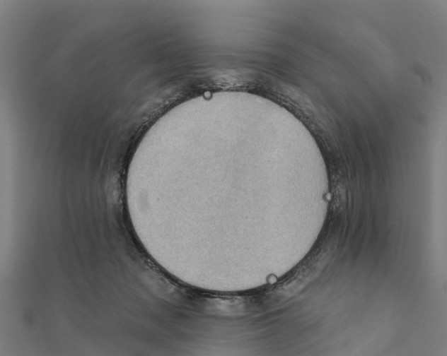 X0000111590317200908131346