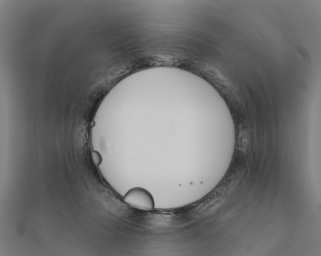 X0000111590318200908131346