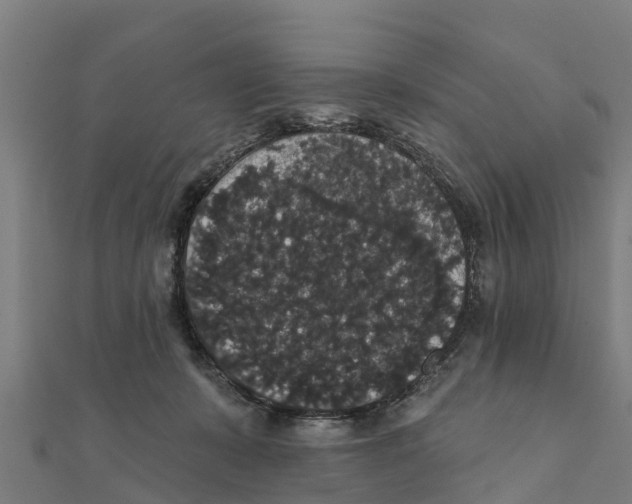 X0000111590319200908131346