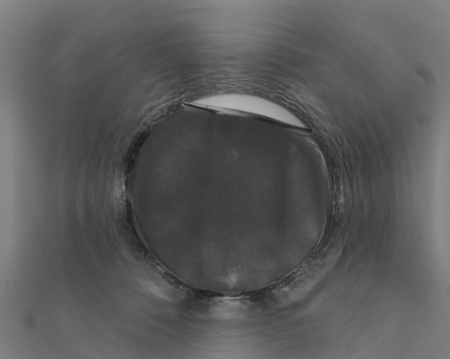 X0000111590320200908131346