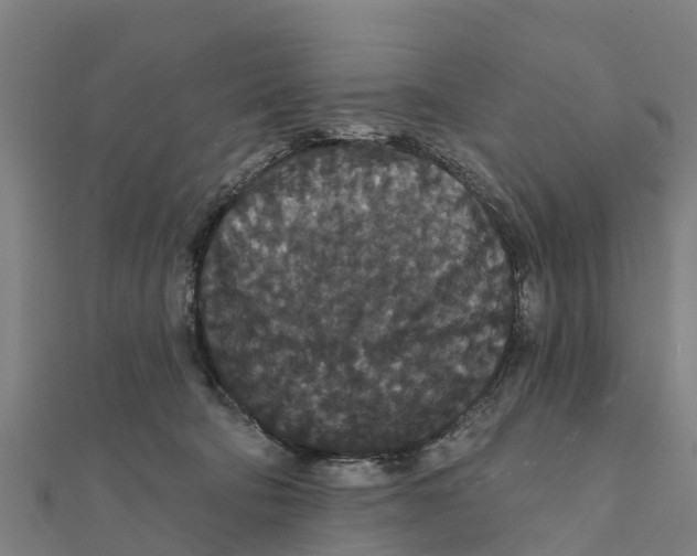 X0000111590322200908131346