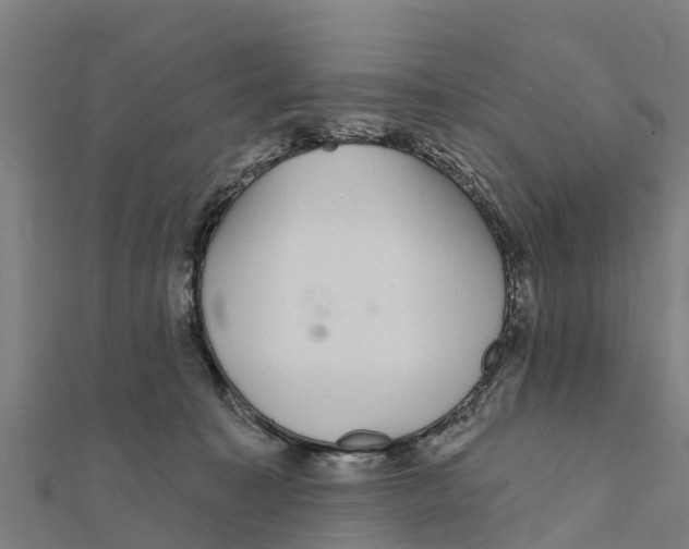 X0000111590323200908131346