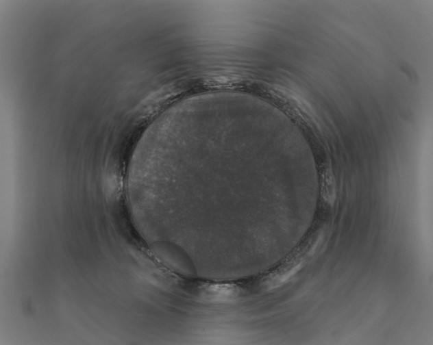 X0000111590324200908131346
