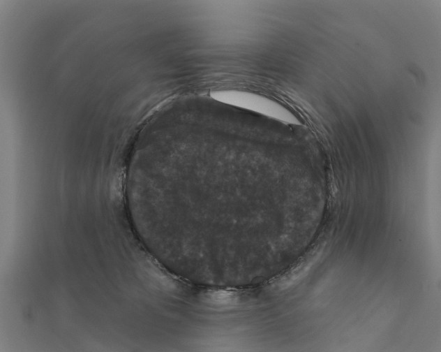 X0000111590325200908131346