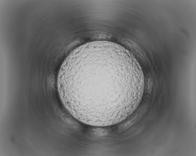 X0000111590326200908131346