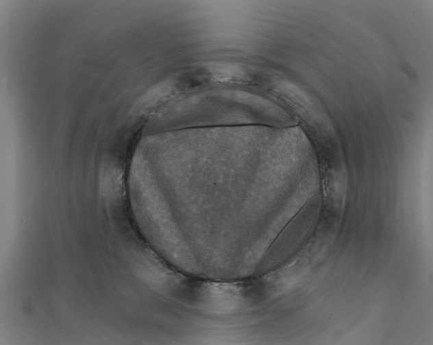X0000111590327200908131346
