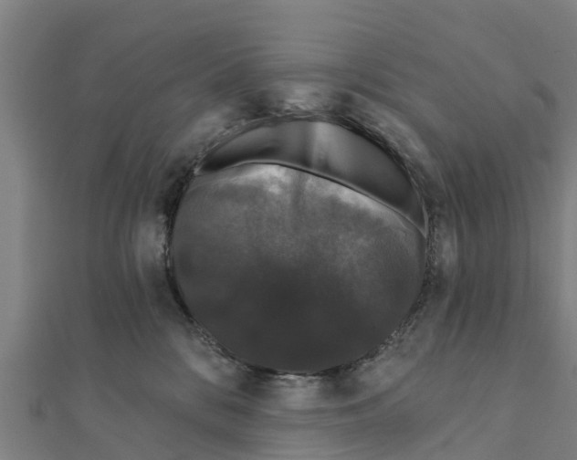 X0000111590328200908131346