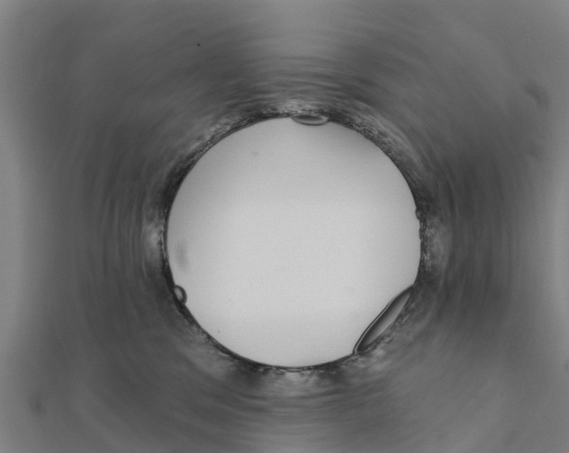 X0000111590329200908131346
