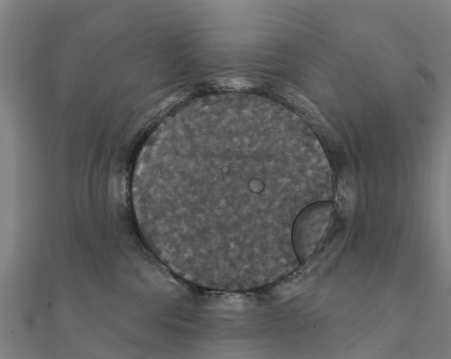 X0000111590330200908131346