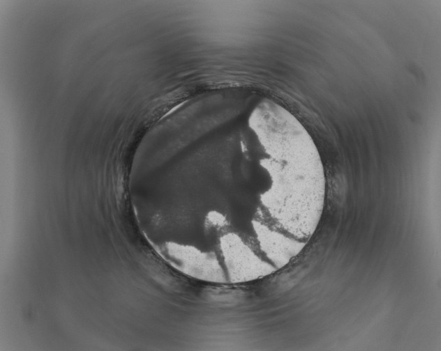 X0000111590331200908131346