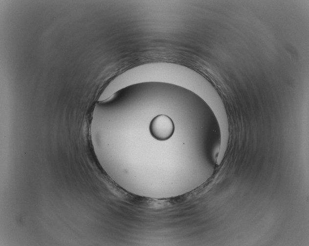 X0000111590333200908131346