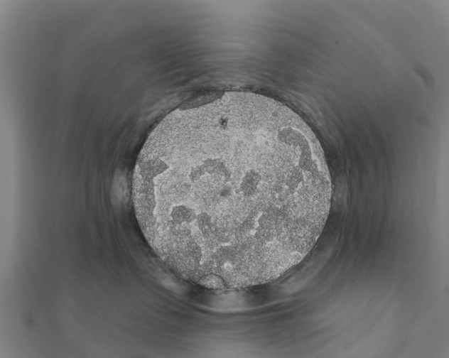 X0000111590335200908131346