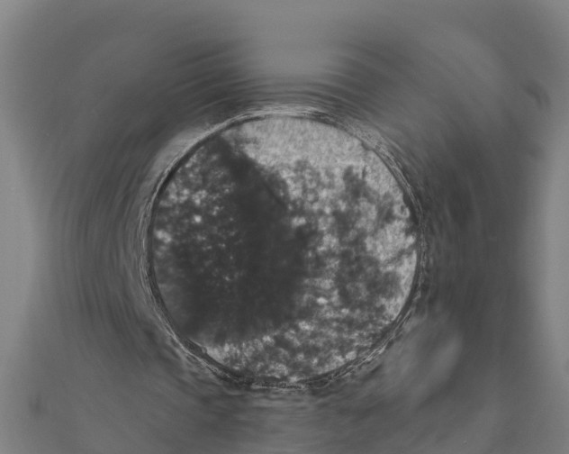 X0000111590337200908131345